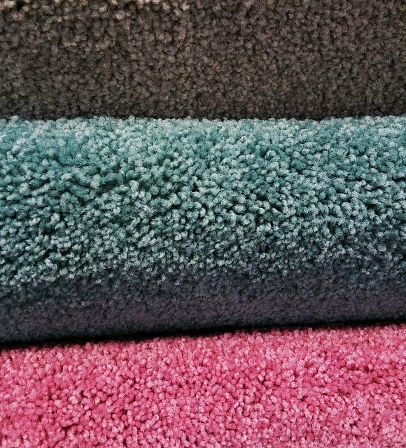 Upholstery and Carpet Cleaning Packages