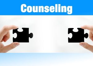 Unleashing Mental Health Care: The Rise of Web-based Therapy Sessions