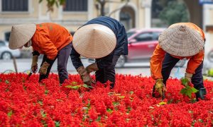 Unlocking Affordable Workers’ Compensation: Strategies for Smart Businesses