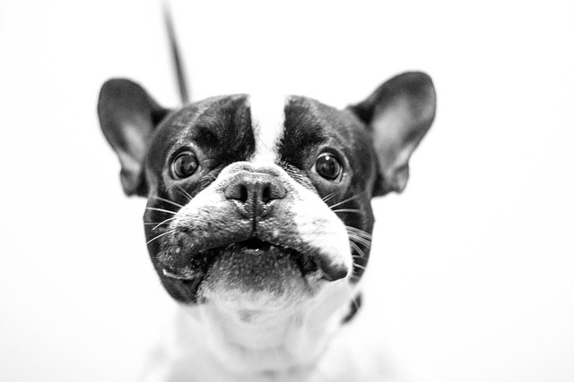 Wrinkle Reduction