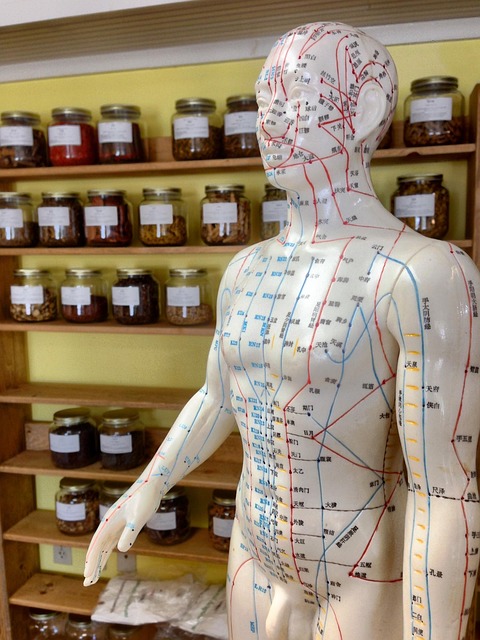 Aesthetic Treatments