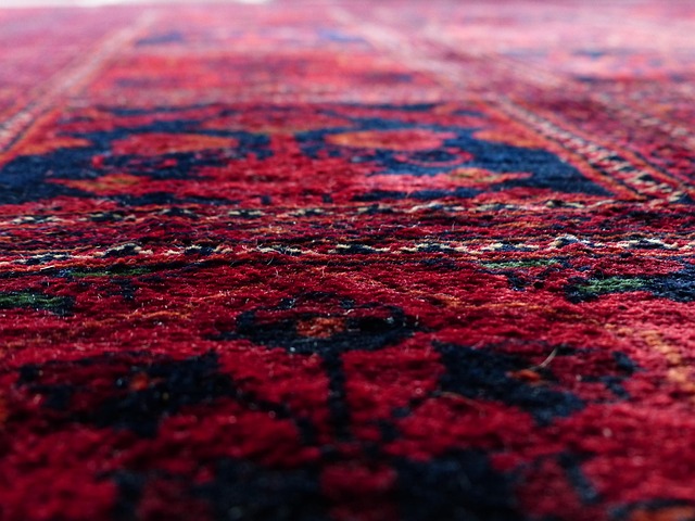 Affordable Deep Carpet Cleaning