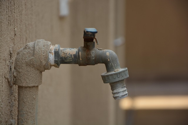 affordable plumbers near me