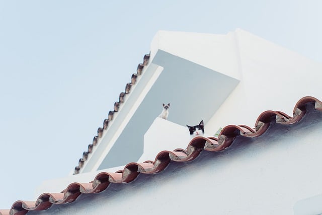 affordable roofing