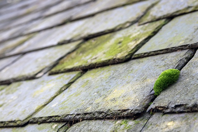affordable-roofing-640x480-32976836.jpeg