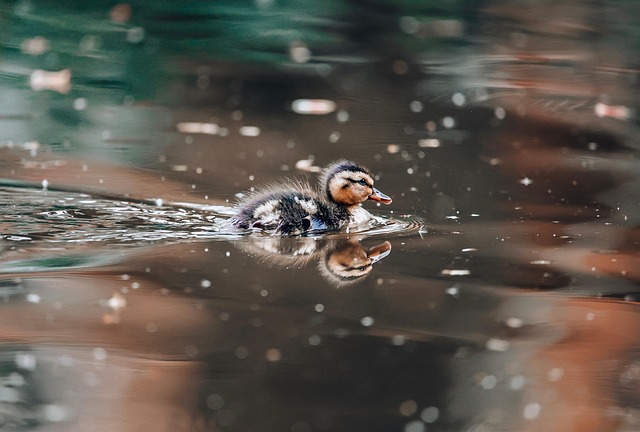 Affordable Small Business Insurance