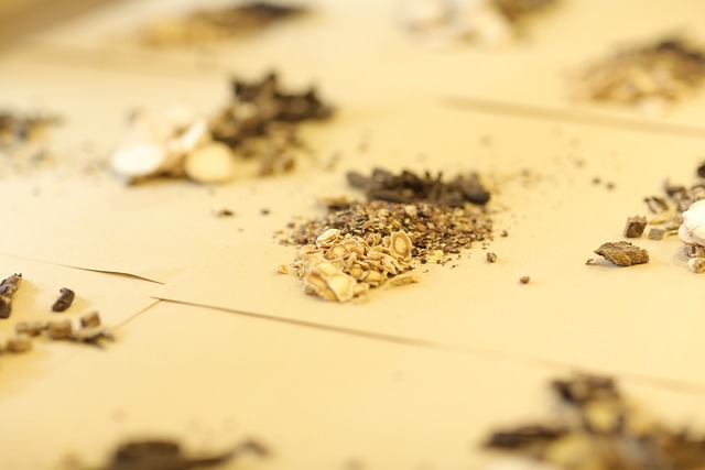 Affordable Termite Treatment
