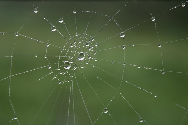 Affordable web design