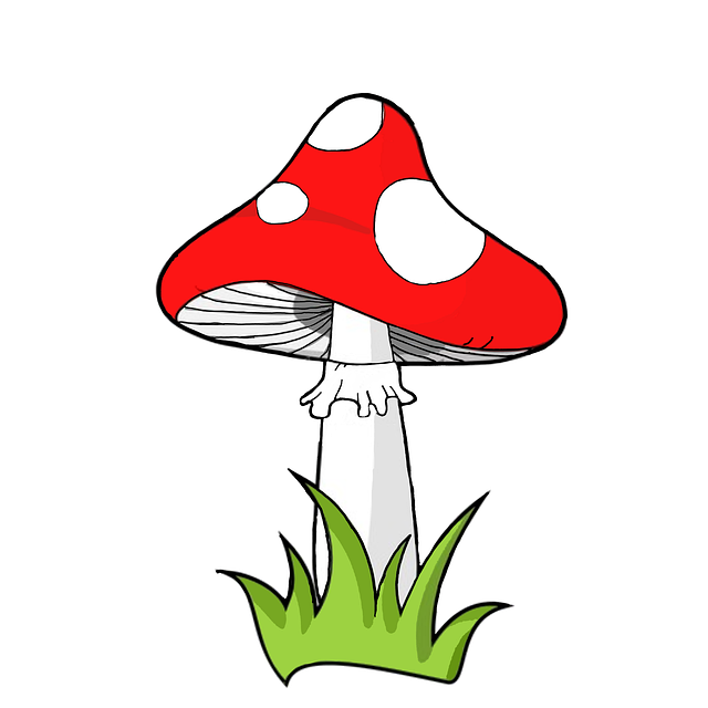 Amanita Muscaria Edible