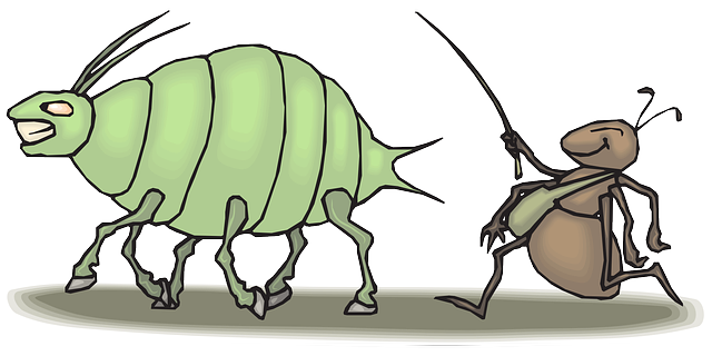 ant-control-640x480-29606664.png