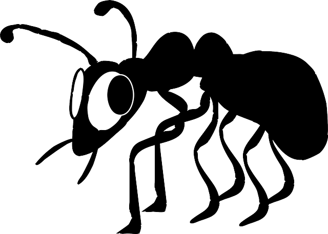 Ant Control