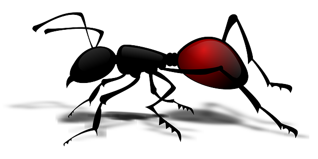 Ant Control