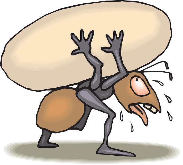 Ant Control