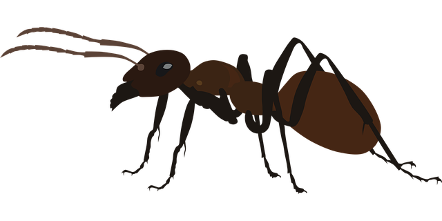 ant-control-640x480-92728942.png