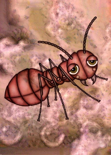 Ant Control