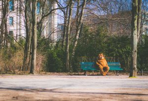 Anxiety Treatment: Exploring Effective Phobia-Specific Therapy Options