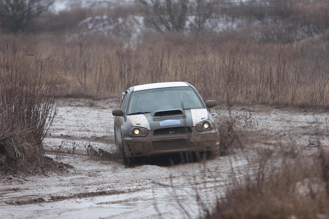 Auto Insurance for High-Risk Drivers