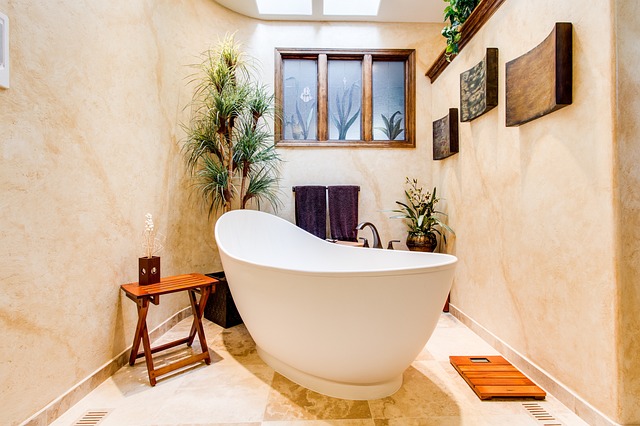 Bathroom Plumbing