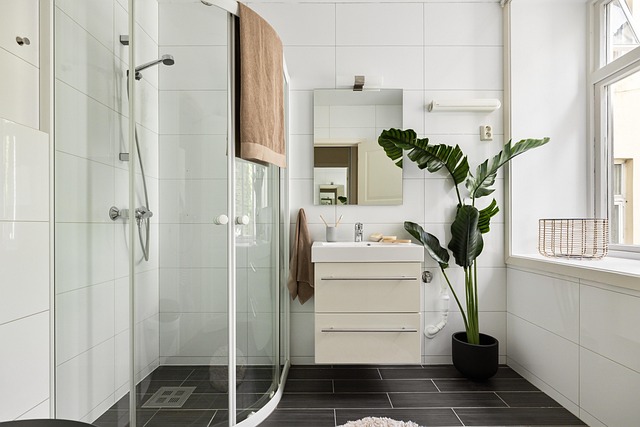 Bathroom Plumbing