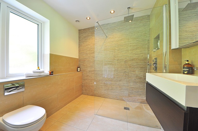 Bathroom Plumbing