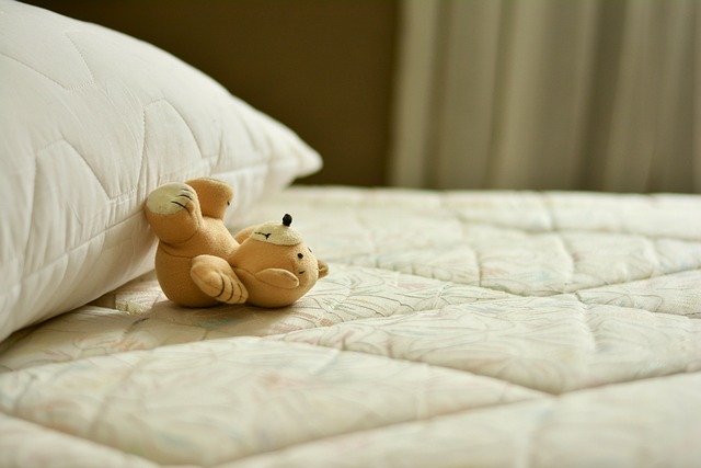 bed bug heat treatment