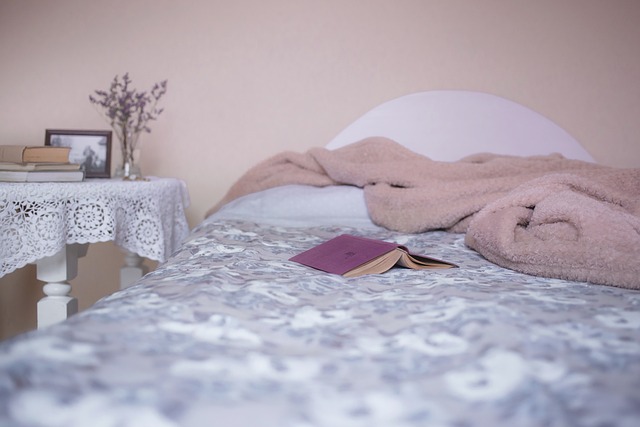bed bug heat treatment