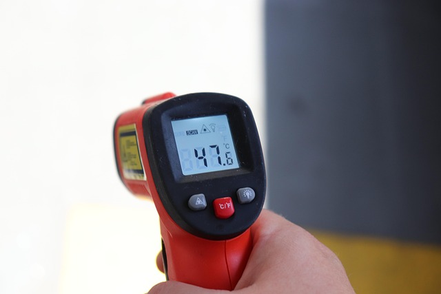 bed bug heat treatment