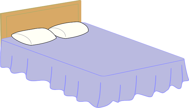 Bed Bug Treatment
