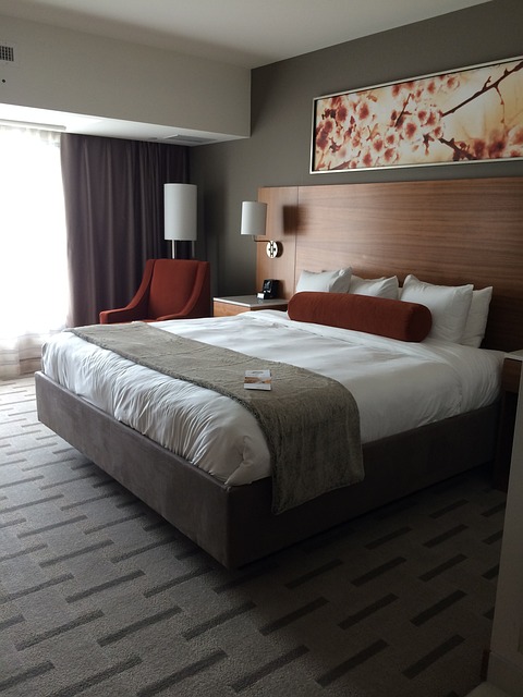 Bed Bug Treatment