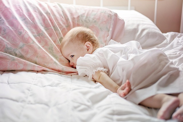 Bed Bug Treatment