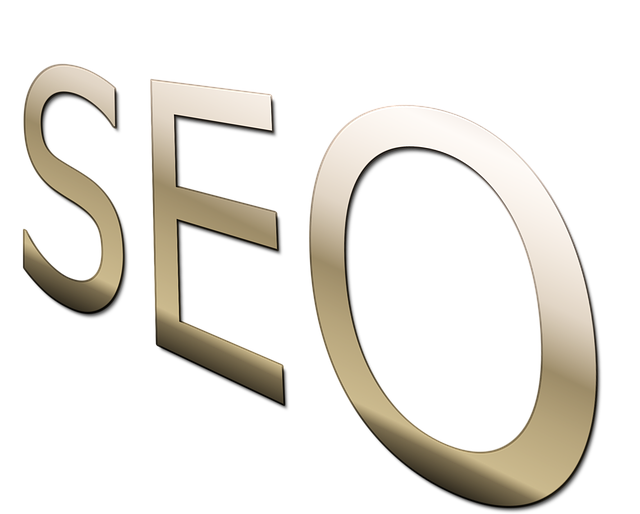 Beginner SEO Training