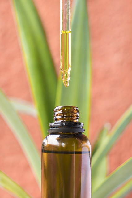 Best CBD Edibles