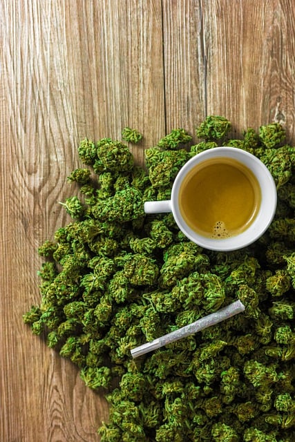 Best CBD Edibles