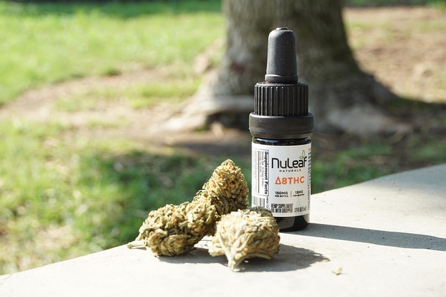 Best CBD Edibles
