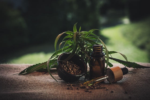Best CBD Edibles