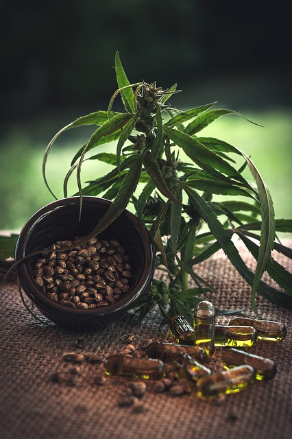 best-cbd-edibles-640x480-93250290.jpeg