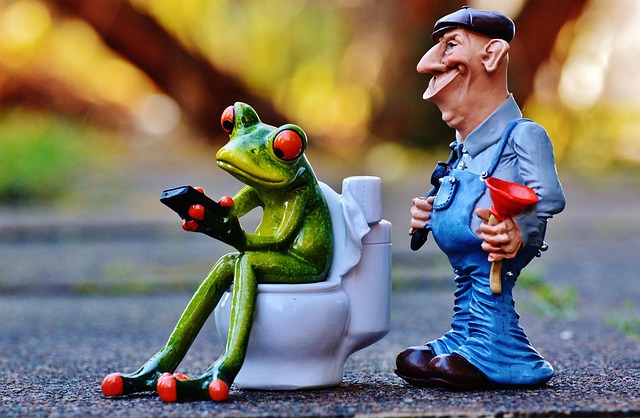 best plumbers near me