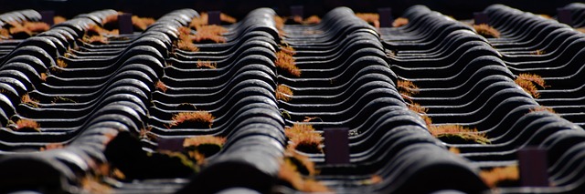 best roofing company