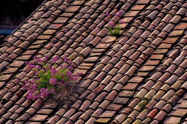 best roofing company
