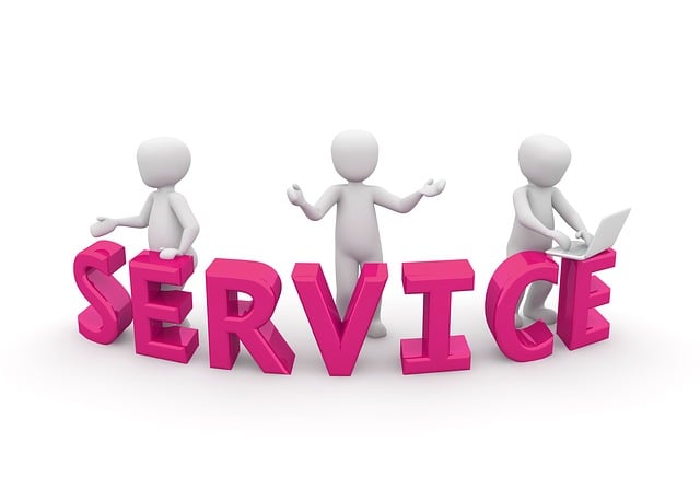 Best SEO Services for Small Businesses
