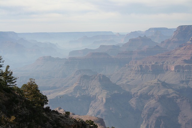 Bodify Arizona
