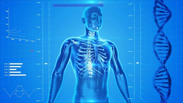 Body Sculpting Treatments