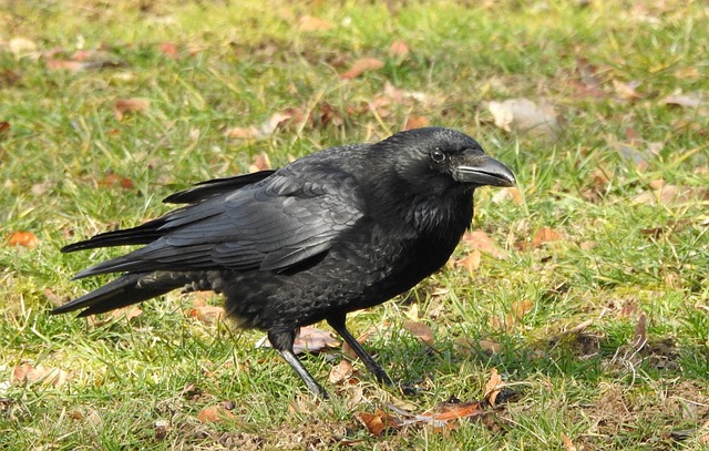 botox-for-crows-feet-and-smile-lines-640x480-95430169.jpeg