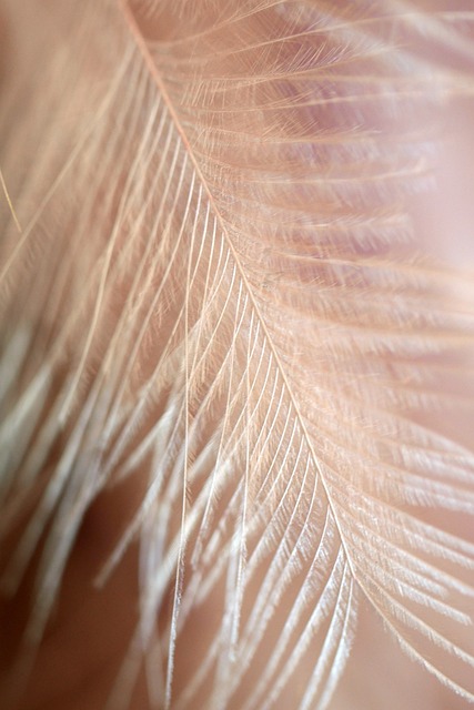 Botox for Fine Lines and Wrinkles