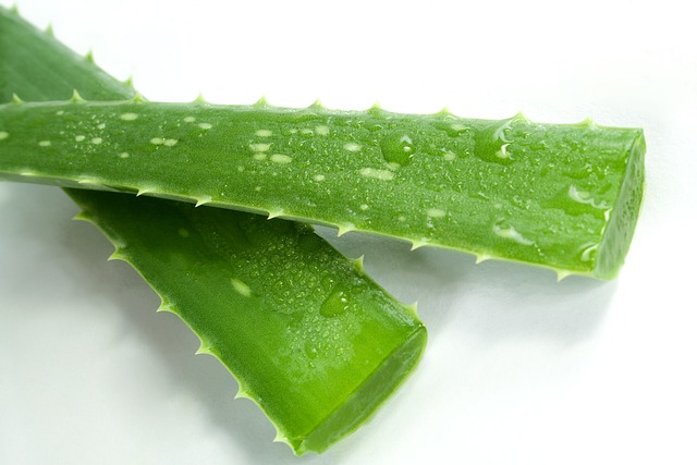 Budget-Friendly Med Spa