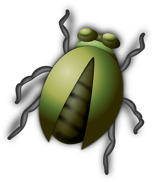 bug exterminator