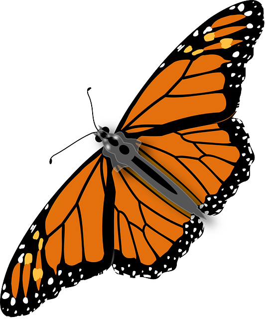bug-exterminator-640x480-27987366.png