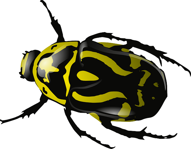 bug exterminator