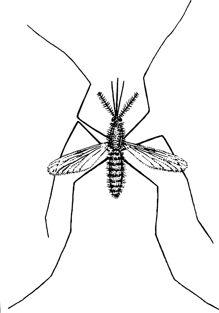 bug exterminator
