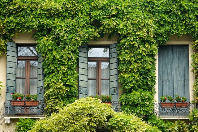 Bundling Auto and Home Insurance for Discounts